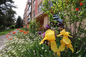 Prodej bytu 4+1, 2 lodžie, ulice Hornická, 94m2, cena 2400000 CZK / objekt, nabízí